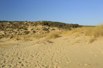 Sand dunes, South coast, Sardinia, Italy