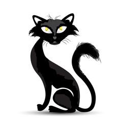 Black cat sitting isolated background