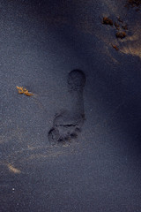 footprints on the beach of Sri Lanka