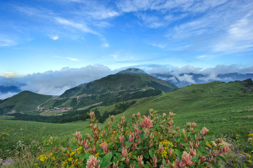Fototapeta na wymiar Taiwan Landscape
