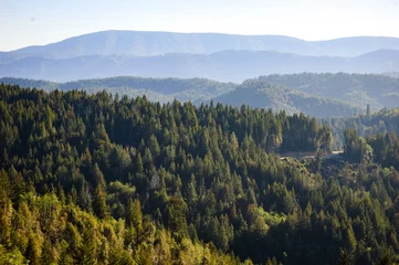 Rideaux velours Parc naturel Redwood National Park