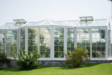 white greenhouse in the backyard - obrazy, fototapety, plakaty