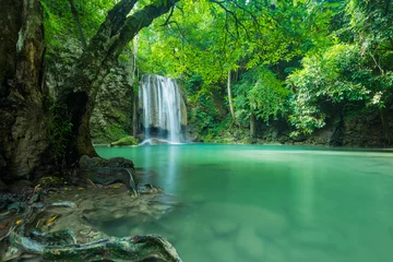 Foto op Plexiglas Groene natuur of groen landschap met Erawan& 39 s waterval, Loacated Kanchanaburi Province, Thailand © peangdao