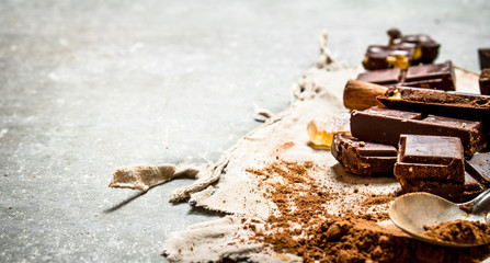 Chocolate pieces with cinnamon and cocoa.