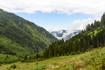 Naklejka premium beautiful nature on plateau