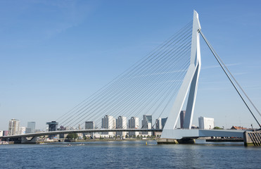Fototapeta na wymiar Erasmusbridge in the port of Rotterdam city in Holland