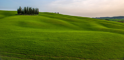 Obraz premium Tuscan countryside