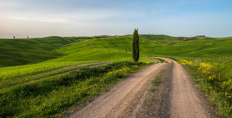 Tuscan countryside