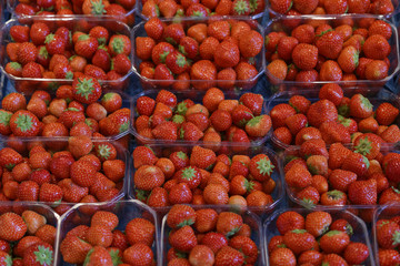 strawberries