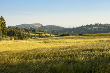 Mountains and farm in Ethiopia