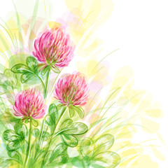 Flowers of clover - vector background