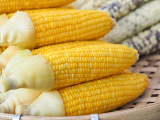 Sweet Corn