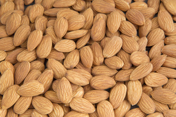 Almonds one of the fruits nutritious nuts