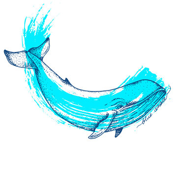 Big blue whale - vector hand drawn abstract illustration. Huge swimming aquatic mammal ink sketch with paint on background
