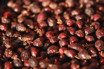 briar background, dogrose photo, dried rosehip berries, dry berry, rosehip photo, rosehip photo, dry dogrose