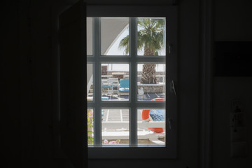 view through the window to the pool with palm tree