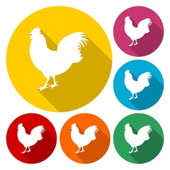 Chicken silhouettes vector
