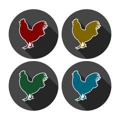 Chicken silhouettes vector