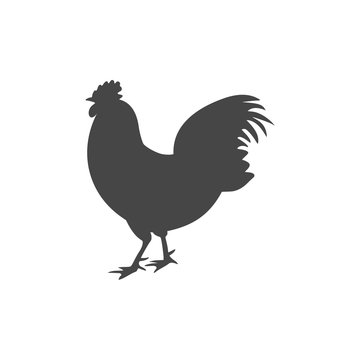 Chicken silhouettes vector