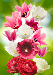 Fototapeta na wymiar image of beautiful flowers in the garden close-up