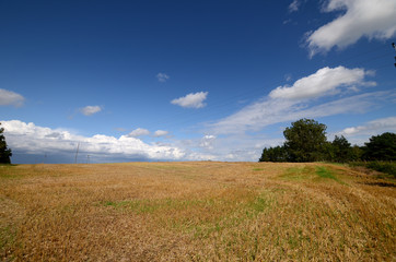 Harvested field, stubble under a blue sky