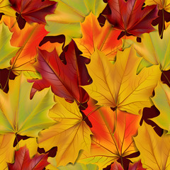 Naklejka na ściany i meble Autumn leaves seamless