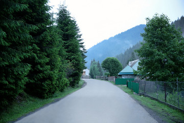 Road in summer mountains