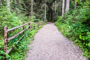 Obraz premium footpath