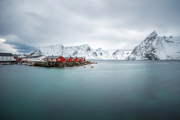 Lofoten islands in winter - obrazy, fototapety, plakaty