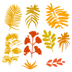 Collection of hand drawn ink yellow leafs
