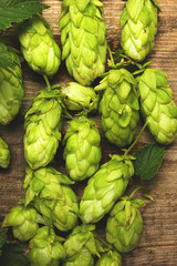 Fresh green hops on a wooden table closeup. Vintage toned