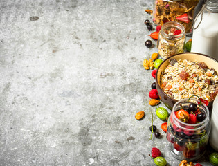 Obraz na płótnie Canvas Healthy food. Muesli with forest berries.