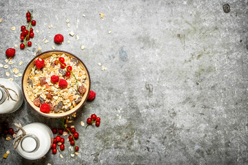 Fitness food. Muesli with berries and milk.