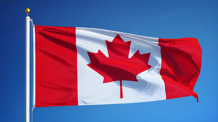 Canada flag waving against clean blue sky, close up, isolated with clipping mask alpha channel...
