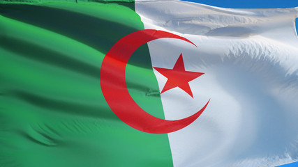 Algeria flag waving against clean blue sky, close up, isolated with clipping mask alpha channel transparency, perfect for film, news, digital composition