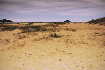 View along the coast from Rock near Padstow Vintage Retro Filter