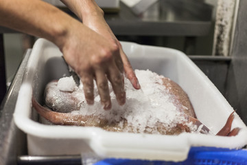 A chef selects fish from ice tub. 