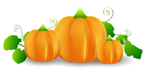 ハロウィン　かぼちゃ　野菜　アイコン