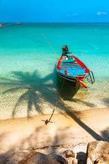 Boat at the beach with Palm Shades