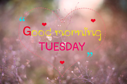 Tuesday Morning Stock Illustrations – 647 Tuesday Morning Stock  Illustrations, Vectors & Clipart - Dreamstime