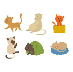 Cartoon vector cat character