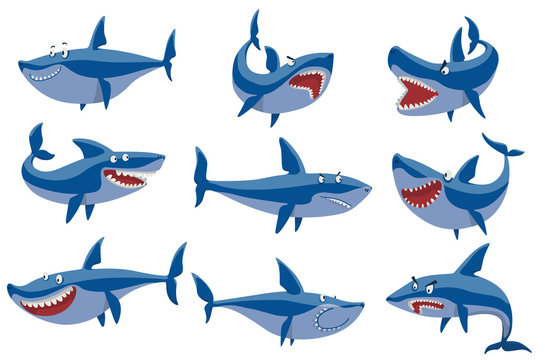 Vector shark character set.