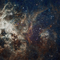 Stars nebula in space.