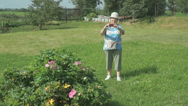 Elderly grandmother takes photos the park