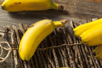 Raw Organic Yellow Baby Bananas © Brent Hofacker