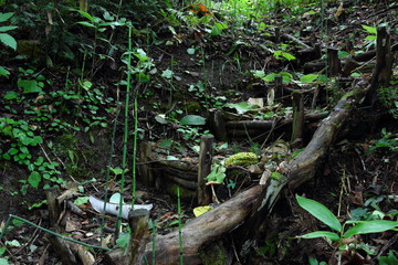 森の中の朽ちかけた階段