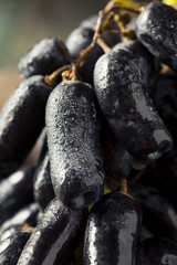 Raw Organic Long Purple Grapes