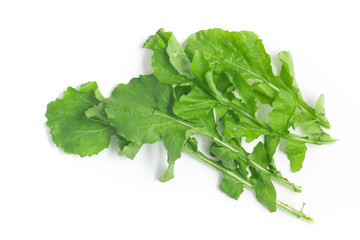 Arugula Leaves. Rucula