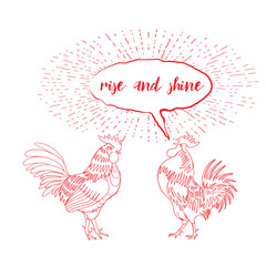 Rise and Shine calligraphy writing in speech bubble. Hipster design with roosters. Hand drawing morning roosters birds on white background.
