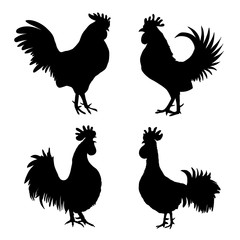 Set of roosters, cocks, Chinese zodiac illustration collection. Logo, emblem, symbol designs bundle. Red hand drawing silhouette isolated on white. 2017 Chinese Year of the Rooster zodiac emblems. 